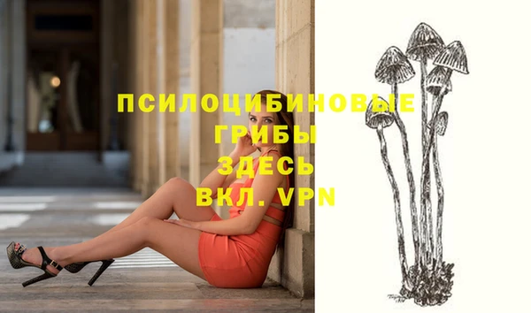 молекула духа Алексеевка