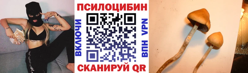 где продают наркотики  МЕГА вход  Псилоцибиновые грибы ЛСД  Любань 